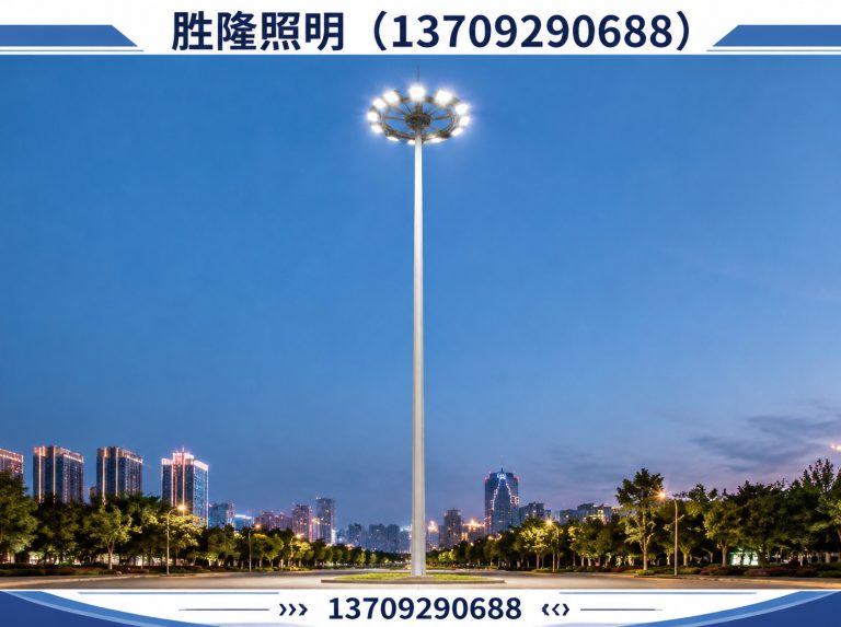长安区LED路灯展示图